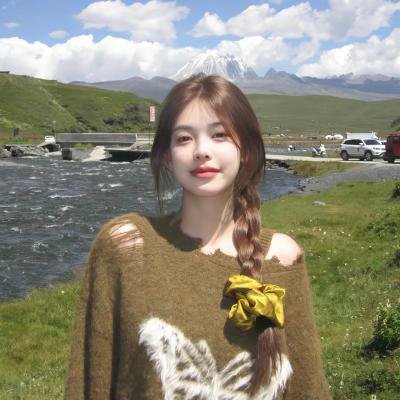 导尽我梦想:李察连利加